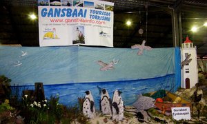 Gansbaai Fynbosspan in Bredasdorp